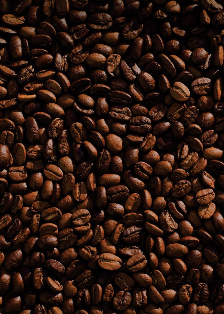 Dari Kelompok Tani KABETEAN ke Kopi Batui KOBSHII